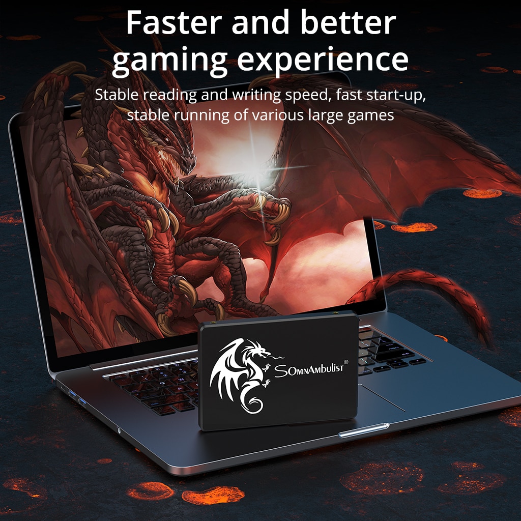SomnAmbulist SSD 120GB 240GB 4 - Ssd 500Gb 评论和价格